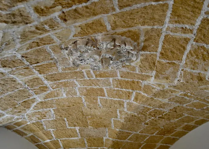 Kallistos & מלון דירות גאליפולי